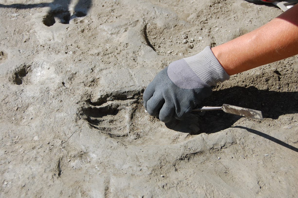 Perché e come creare un’impresa archeologica.