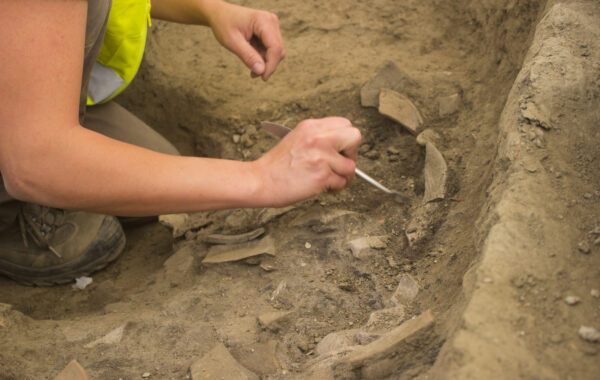 lavorare in un'impresa archeologica offre ai giovani la possibilità di formarsi sul campo lavorare in un'impresa archeologica offre ai giovani la possibilità di formarsi sul campo